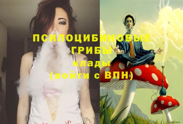 спиды Алексеевка