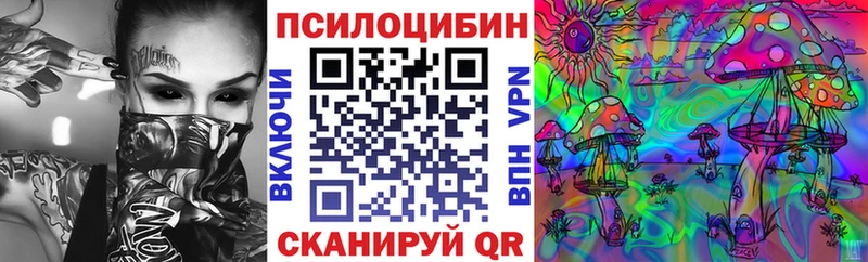 Галлюциногенные грибы Psilocybe  Чадан 
